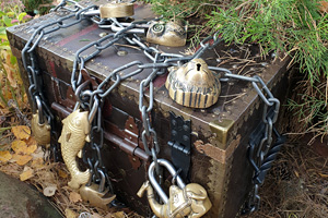 фото сундука закрытого на замки в виде животных